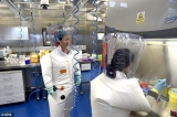 Director of World Health Organization believes Covid epidemic began due to leak from Chinese laboratory