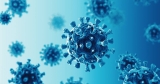 Prediction Covid-19 pandemic over soon ‘premature’