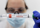 Omicron subvariant XBB jumps to 18% of U.S. COVID cases