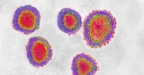 Less than 10K new COVID-19 cases reported in Michigan on Monday | News