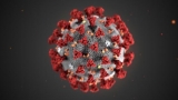 CDC: Delta variant could become most dominant strain in U.S. | Top Stories