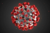 Page County Public Health recommends following new CDC COVID guidance | News