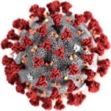 COVID on the rise, as is Monkeypox | News