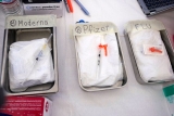 Experimental flu shot could target 20 viruses with a single vaccine