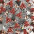 What happens if you transfuse blood from old mice into young ones?