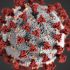 COVID-19 surges in Hong Kong’ wth 300,000 cases, 1,200 deaths in week
