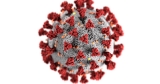 CDC offers new COVID-19 Quarantine and Isolation Calculator for the public | News