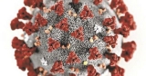 CDC creates COVID-19 quarantine, isolation calculator | Coronavirus