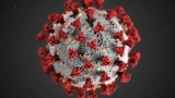 COVID Illinois: 3,225 new coronavirus cases, 18 new deaths reported