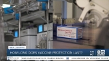 How long does COVID-19 vaccine protection last?