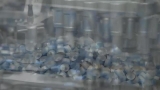 FILE-CDC WARNS WATCH FOR BLOOD CLOTS W/ J&J SHOT – WFMZ Allentown