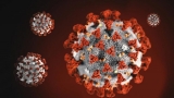 CDC lists six Southeast Idaho counties in highest risk level for COVID-19 | Local