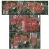 August 28, 2021 coronavirus update for Oakville
