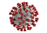 CDC recommends Pfizer COVID booster | News
