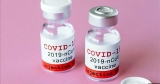 US opens COVID vaccine to little kids, shots begin next week | News