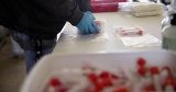 Mesa County COVID transmissions “high,” CDC says | Western Colorado