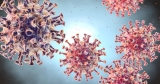 CDC, Mayo studies show effectiveness of vaccination against COVID hospitalization | Local News