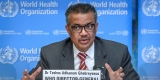 World Health Organization Investigating Rare Liver Damage in Kids