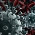 France Confirms 51 Monkeypox Cases: Health Official