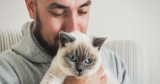 Can your cat give you COVID? Plus, FDA approves severe alopecia pill, and more health news | Health