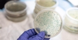 CDC Report Addresses Impact of COVID-19 on Antimicrobial Resistance | Health