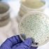 Lancaster COVID-19 cases see uptick as BA.5 becomes dominant subvariant in U.S. | Health