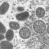 Covid: Omicron subvariants BA.4 and BA.5 escape antibodies from vaccination and prior infection, studies suggest