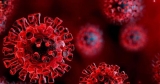 CDC: Five Lakeway counties in High Risk COVID category – Citizentribune