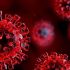 Free COVID-19 tests now available at health departments