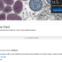 If you’re high risk, do not wait for updated COVID-19 vaccines, experts say