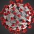 FDA authorizes Covid booster shots that target omicron BA.5 variant