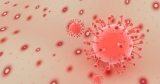 CDC confirms 47 cases of monkeypox in Alabama | National News
