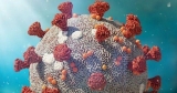 CDC Will Stop Issuing Daily Updates of COVID-19 Cases, Deaths | Health