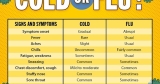 CDC Health Advisory warns of early cold, flu season | Local News
