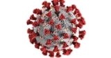 CDC rates 21 Illinois counties at elevated COVID levels | National News