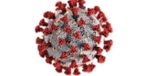 CDC rates 21 Illinois counties at elevated COVID levels – Southernminn.com