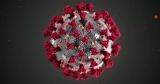 CDC data shows transmission rates rising across state