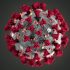 WHO urges China to share specific data regularly on COVID situation