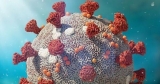 FDA: No Useful Monoclonal Antibody Treatments Left Against New COVID-19 Variants | Health