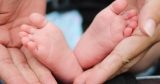 CDC, Guttmacher Institute report vastly different abortion figures for 2020 | News