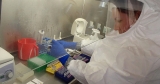 Many U.S. labs cannot test for Ebola strain behind Uganda’s swelling outbreak