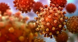 White House Keeping an Eye on 2 New Omicron Subvariants