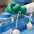 Nutraceutical manufacturing, the complex process simplified through vertical integration, Health News, ET HealthWorld