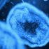 Fairfield County reported 278 additional COVID-19 cases this week