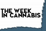 FDA, CDC, Delta-8 THC, WADA, Canopy, Sundial, Canada, LatAm And More
