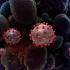 COVID-19 collapse continues in North Dakota; CDC updates county-level risk data | Health