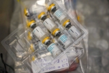 Indonesia announces its first case of monkeypox