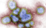 Young woman dies of H5N6 bird flu in southern China