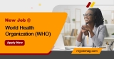 Job: Field Coordinator at World Health Organization (WHO)