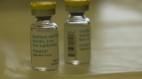 ‘Monkeypox’ to be renamed ‘mpox’ by World Health Organization, citing racism fears